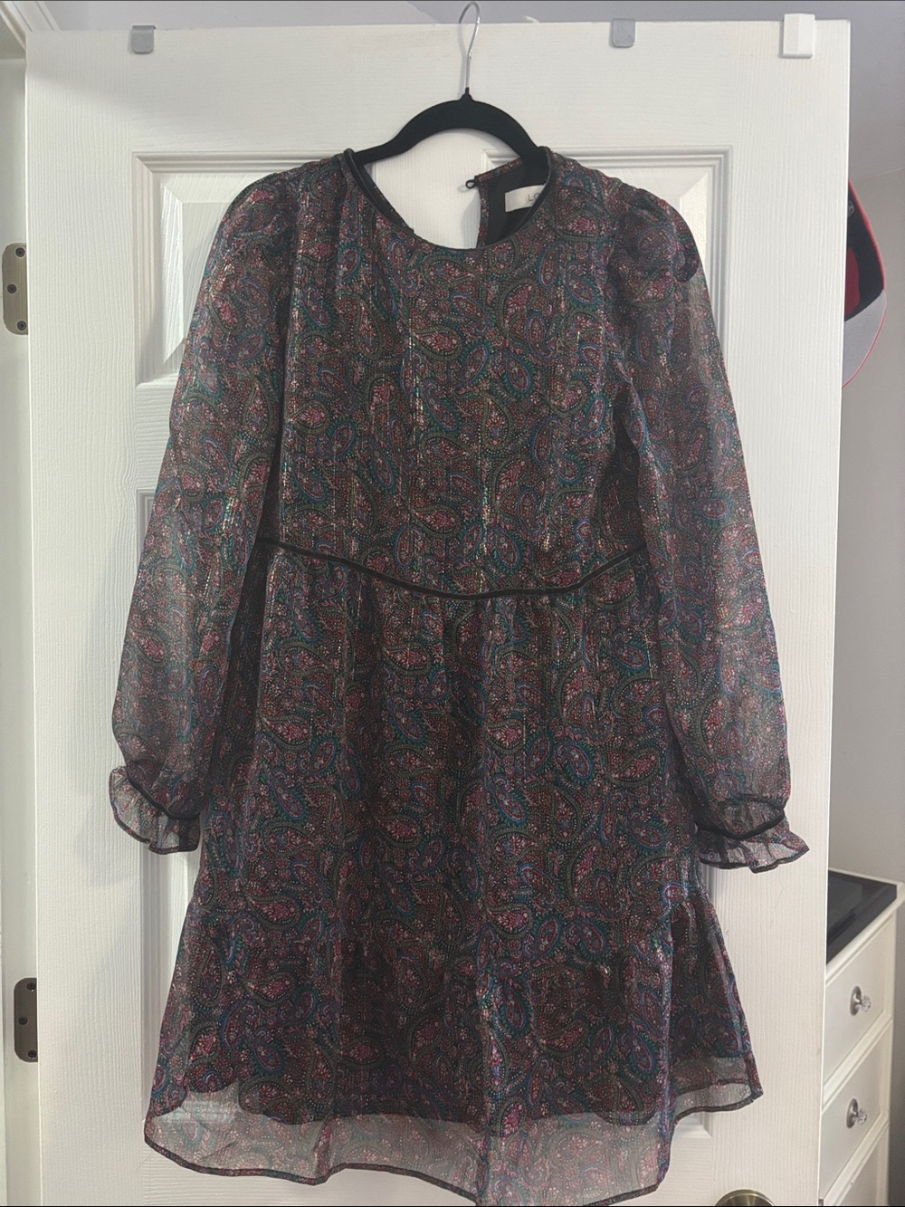 Sheer Long Sleeve Paisley A-Line Dress - Black with Teal & Pink